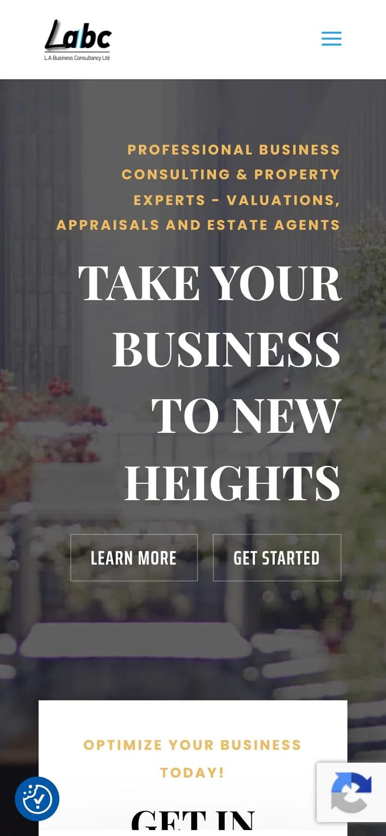 LA Business Consultancy, κινητό
